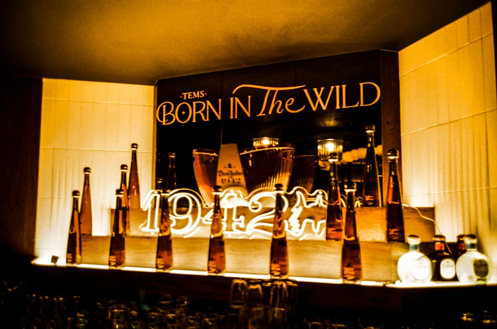 Born In The Wild — hero image